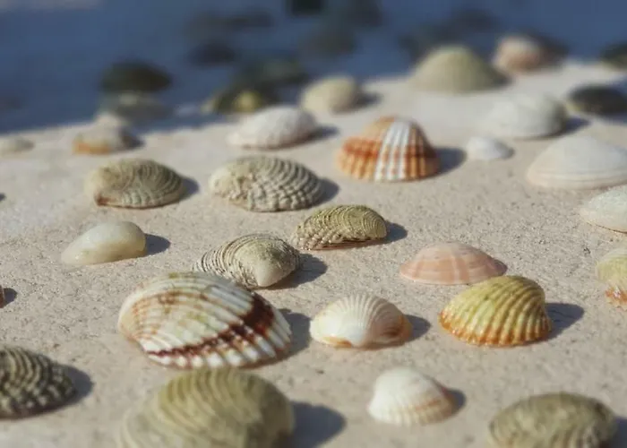 Sunny Estate 公寓