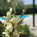 Sunny Estate Zaton (Zadar)