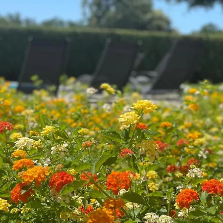 Sunny Estate زاتون