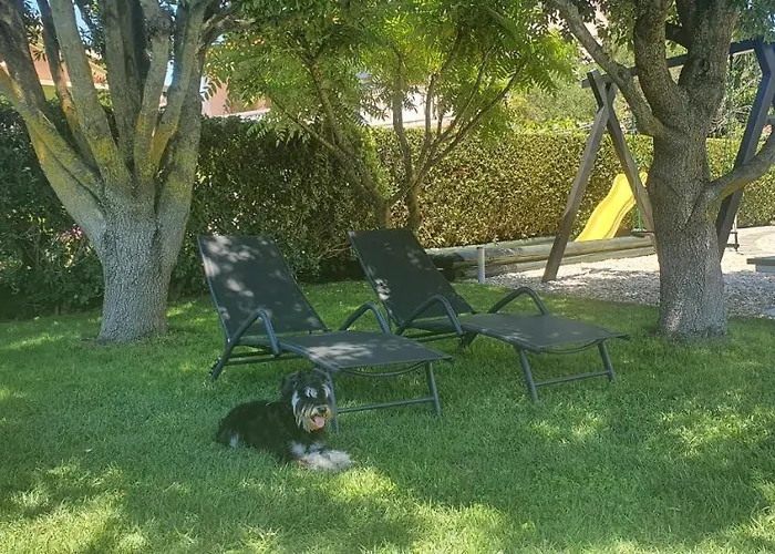 Sunny Estate شقة زاتون