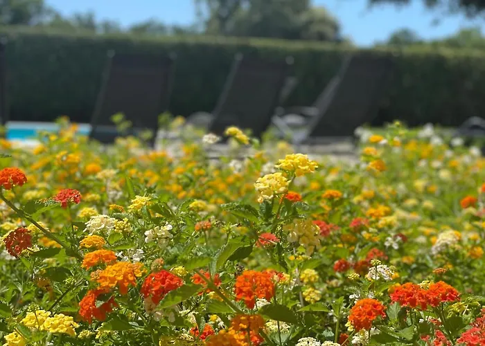 Sunny Estate زاتون