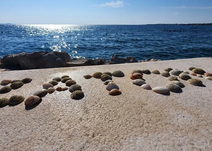 Sunny Estate شقة *