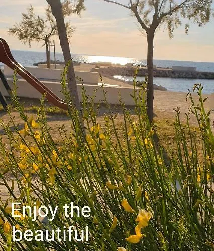 Sunny Estate شقة زاتون