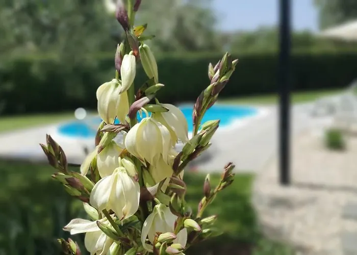 Sunny Estate زاتون