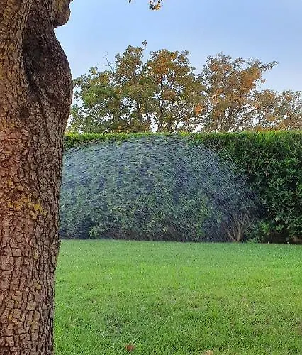 Sunny Estate شقة زاتون